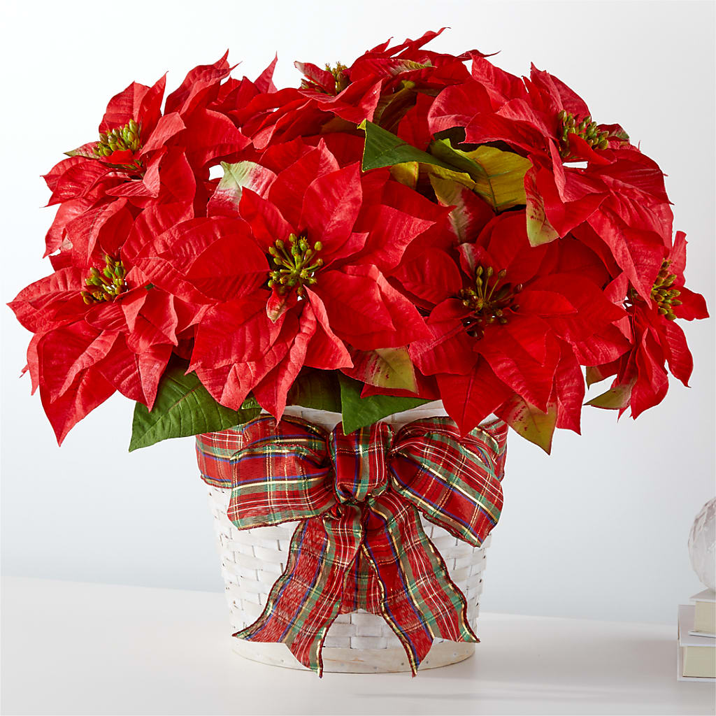 Happiest Holidays Poinsettia – City Market, Grand Junction CO