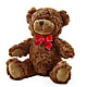 Adorable Plush Bear – City Market, Grand Junction CO