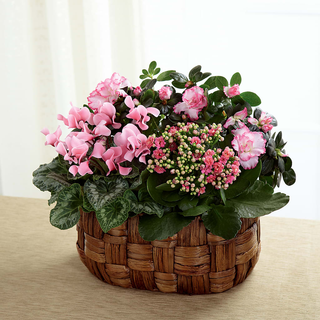 Pink Assortment – City Market, Grand Junction CO