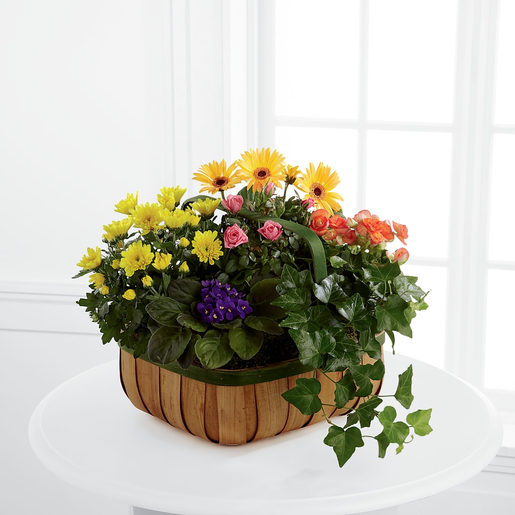 Gentle Blossoms Basket – City Market, Grand Junction CO