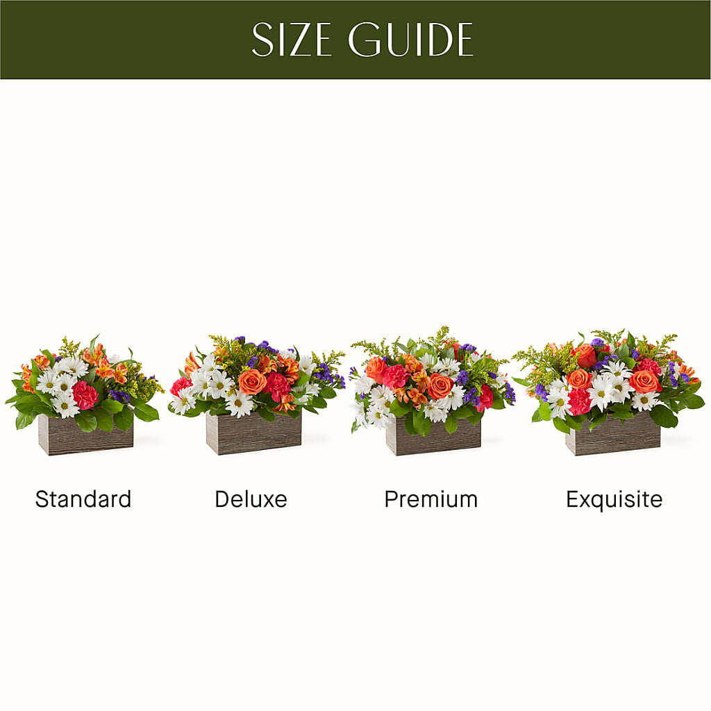 Oopsie Daisy Box Bouquet – City Market, Grand Junction CO