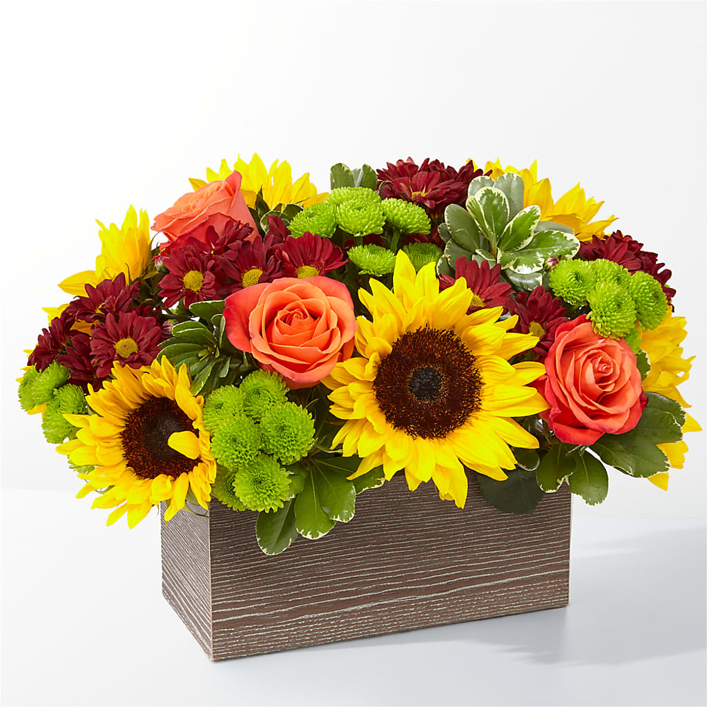 Happy Harvest Garden – City Market, Grand Junction CO