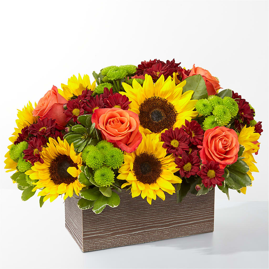 Happy Harvest Garden – City Market, Grand Junction CO