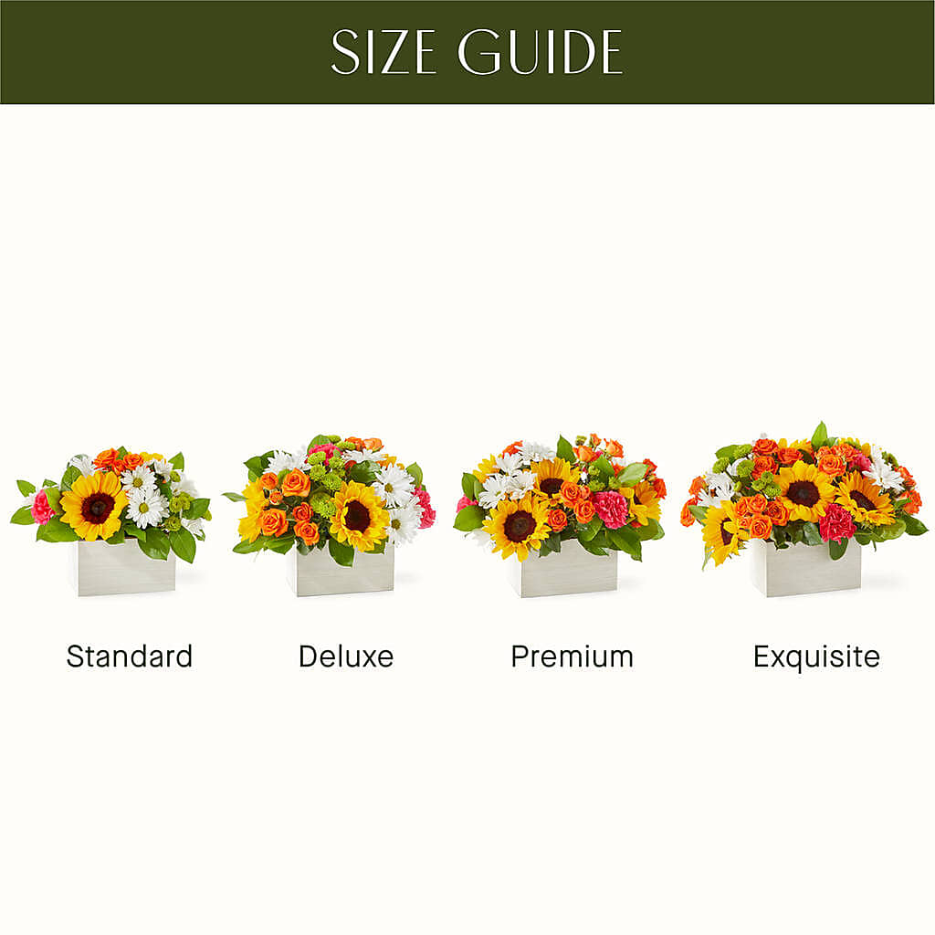 Sun-drenched Blooms Box Bouquet – City Market, Grand Junction CO