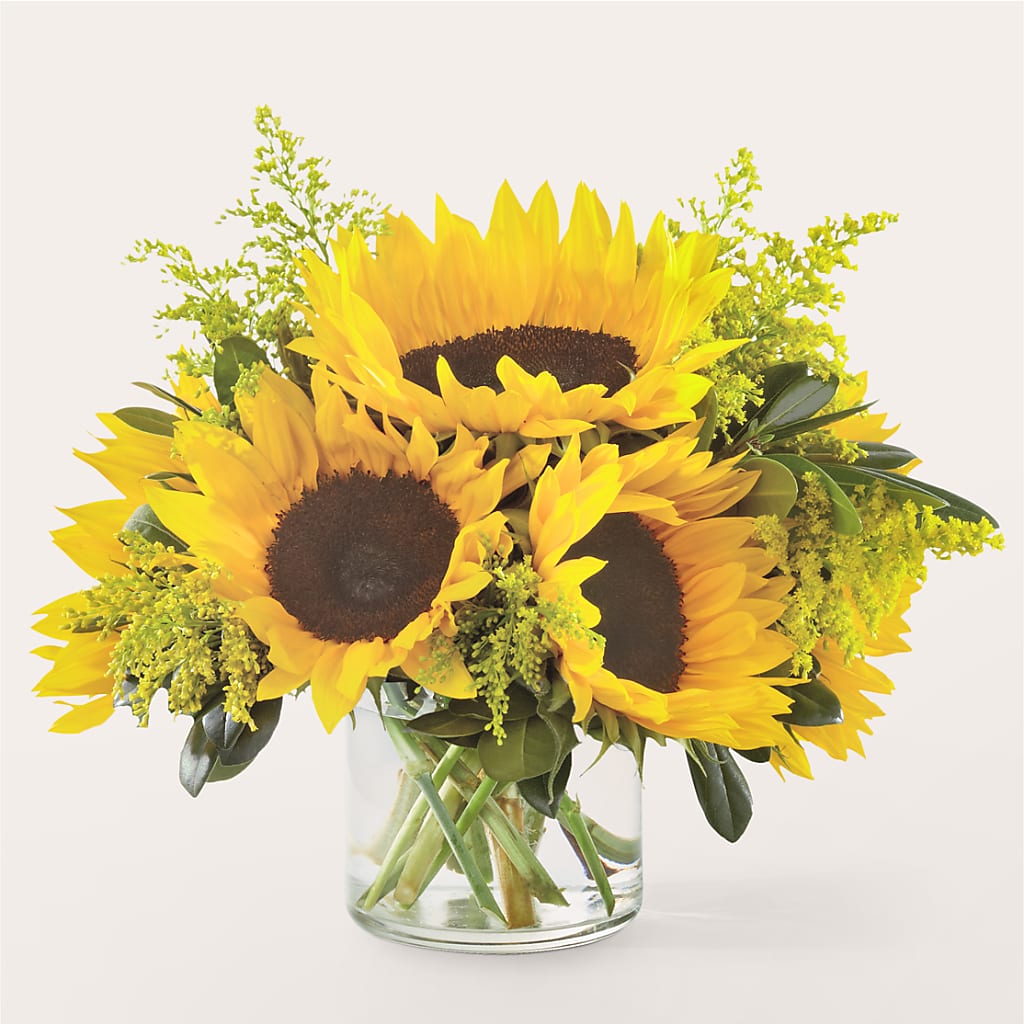 Beaming Sunflower Bouquet – City Market, Grand Junction CO