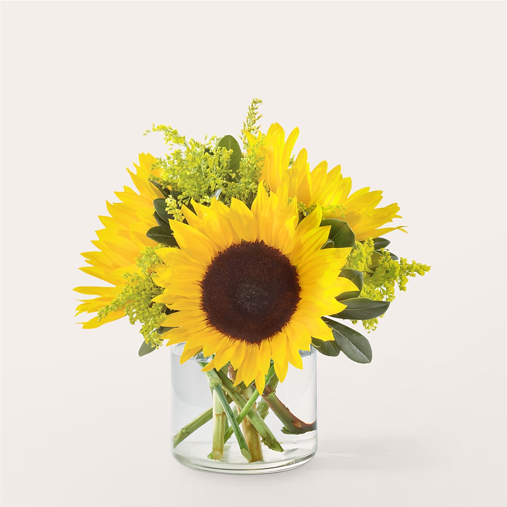 Beaming Sunflower Bouquet – City Market, Grand Junction CO