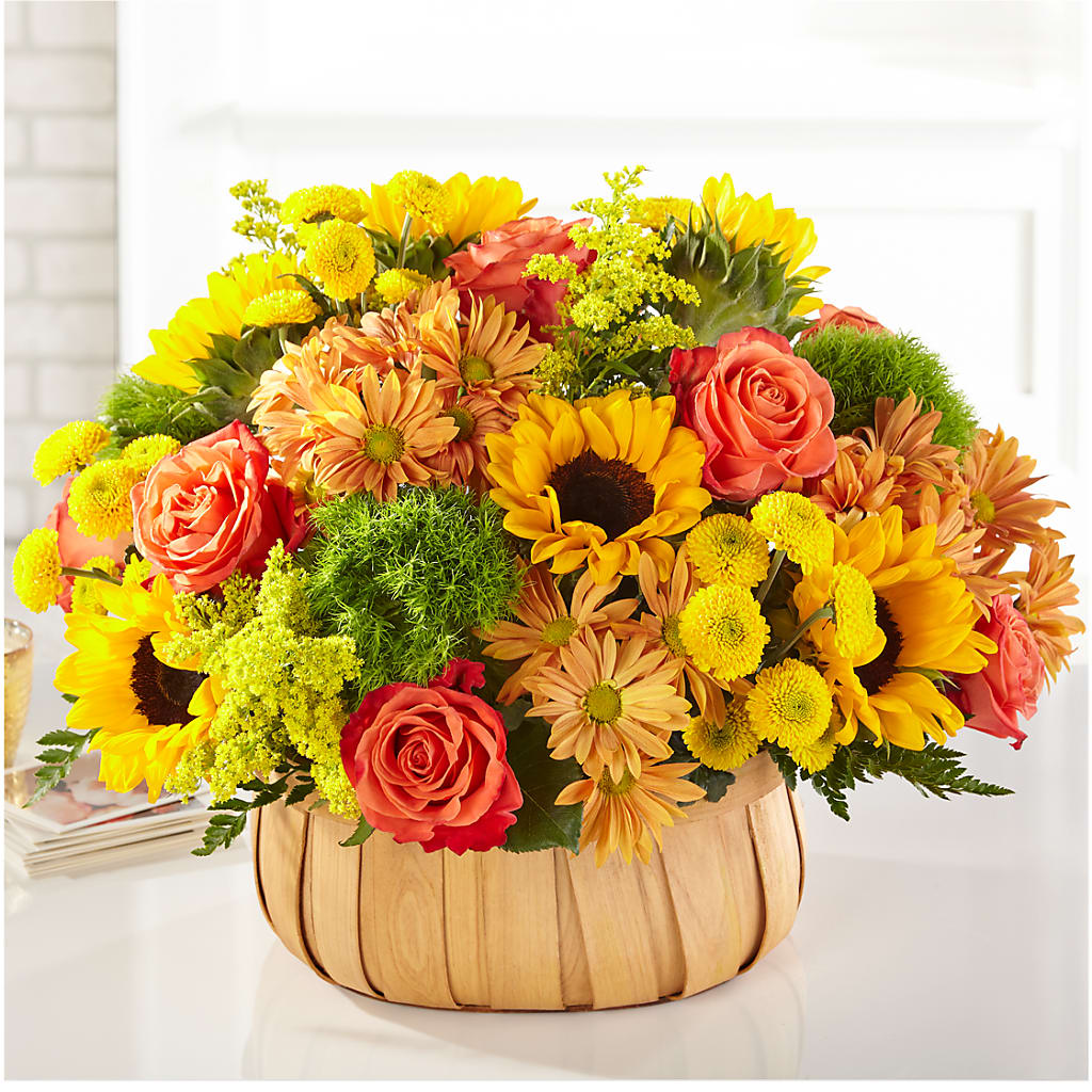 Harvest Sunflower Basket – City Market, Grand Junction CO
