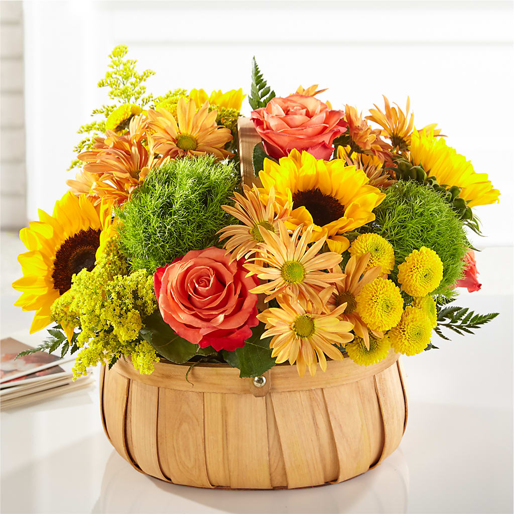 Harvest Sunflower Basket – City Market, Grand Junction CO