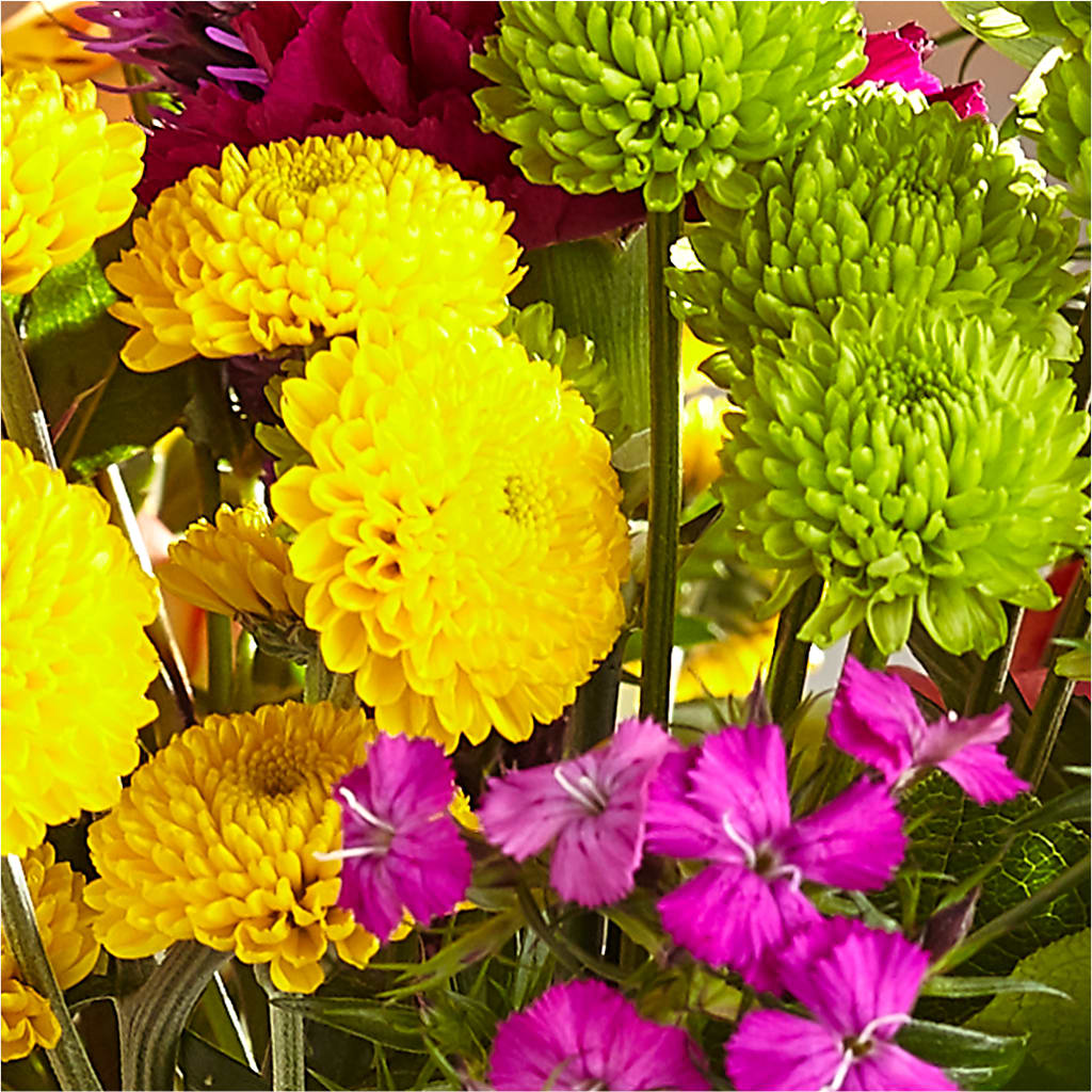 Bold & Bright – A Florist Original –  City Market, Grand Junction CO
