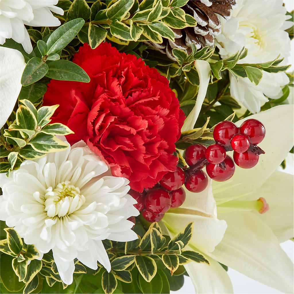 Festive Moments Tree –  City Market, Grand Junction CO