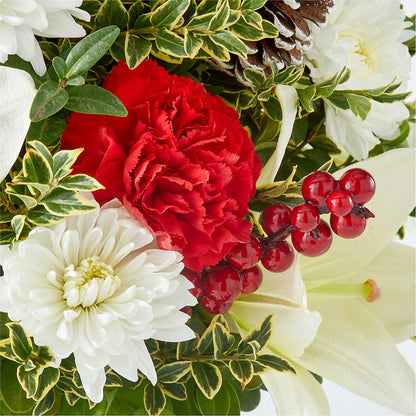 Festive Moments Tree –  City Market, Grand Junction CO