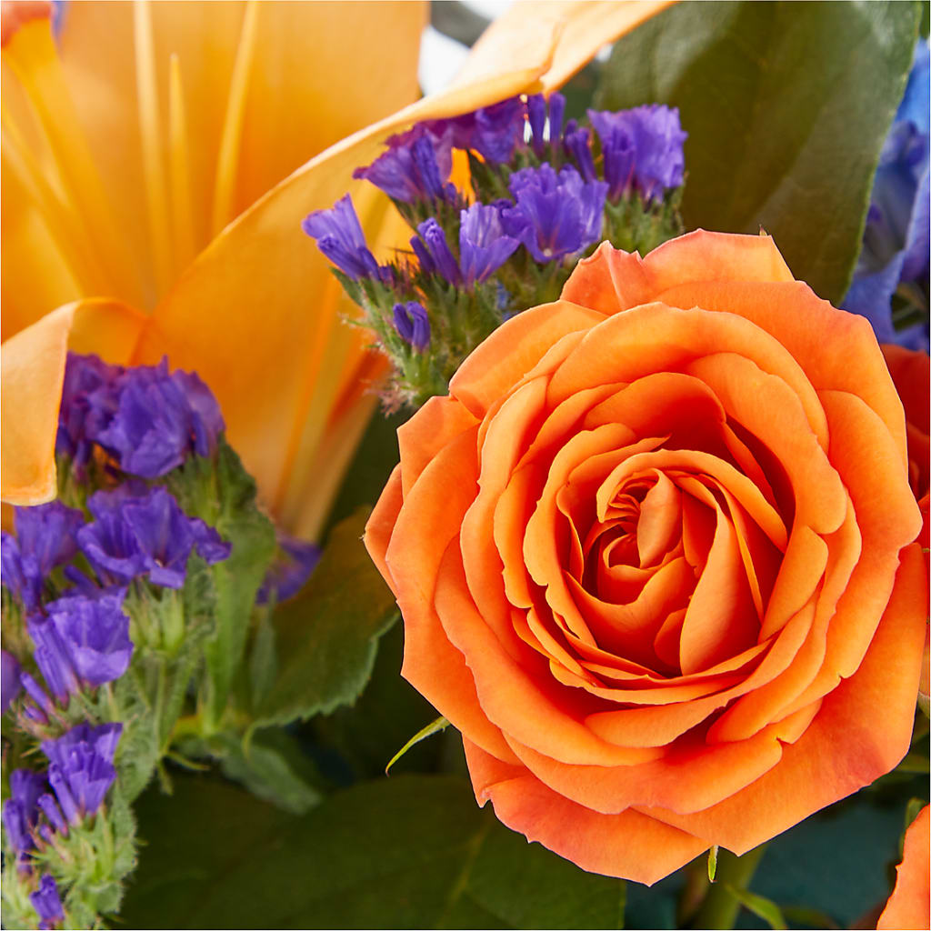 Radiant Citrus Box Bouquet –  City Market, Grand Junction CO