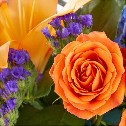 Radiant Citrus Box Bouquet –  City Market, Grand Junction CO