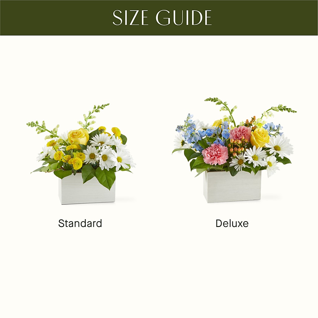 Sun Salutation Box Bouquet –  City Market, Grand Junction CO