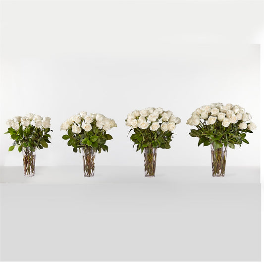 Long Stem White Rose Bouquet –  City Market, Grand Junction CO
