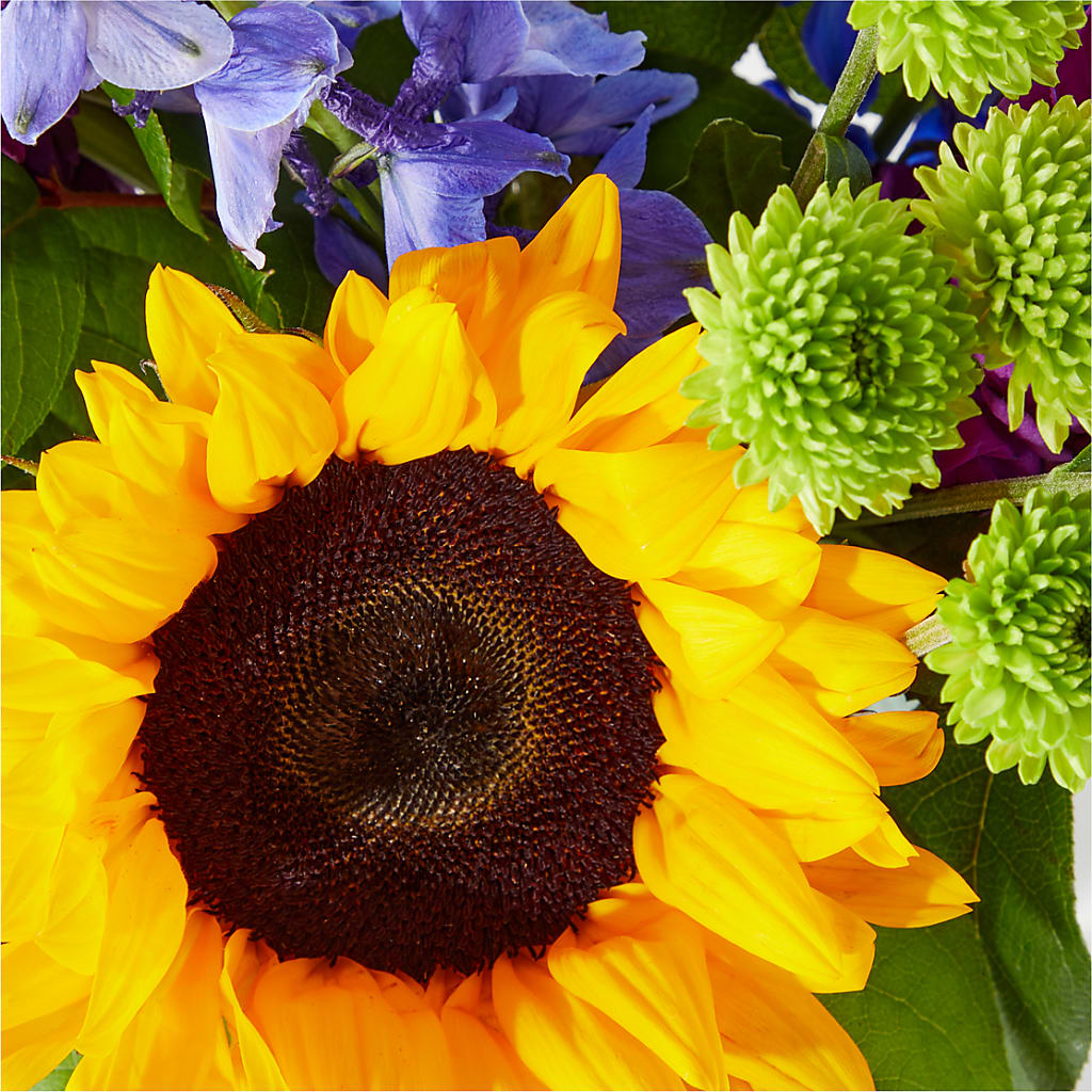 Catching Rays Bouquet –  City Market, Grand Junction CO