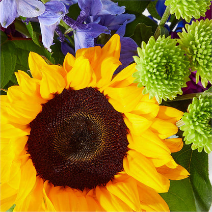 Catching Rays Bouquet –  City Market, Grand Junction CO