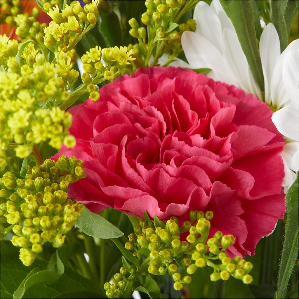 Oopsie Daisy Bouquet –  City Market, Grand Junction CO
