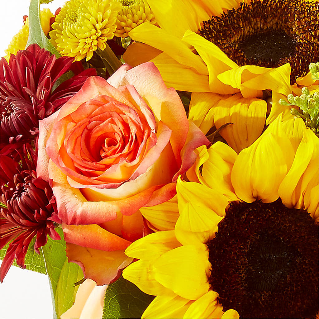 Golden Gourd Pumpkin Bouquet –  City Market, Grand Junction CO