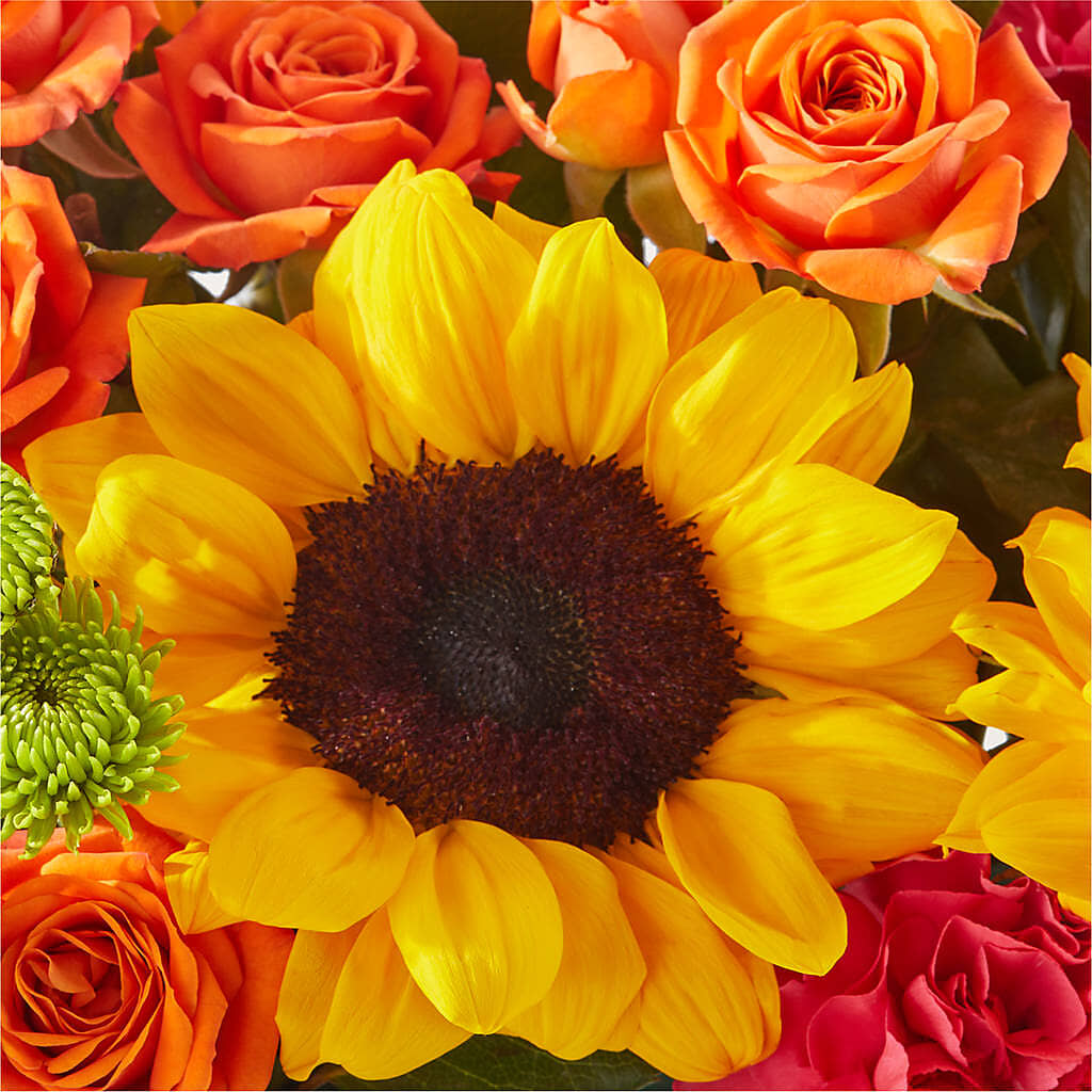 Sun-drenched Blooms Box Bouquet –  City Market, Grand Junction CO