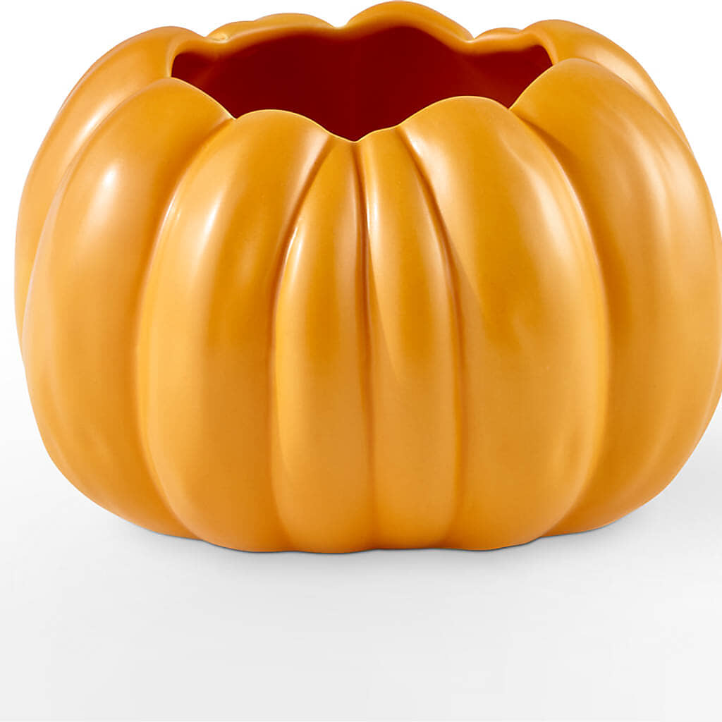 Golden Gourd Pumpkin Bouquet –  City Market, Grand Junction CO