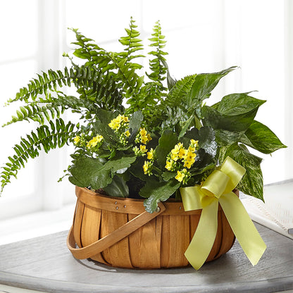 Always Dear Dishgarden –  City Market, Grand Junction CO