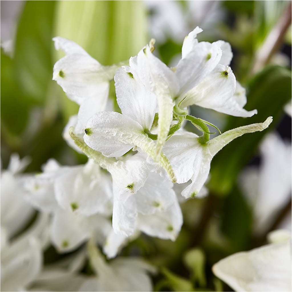 Classic Ivory – A Florist Original –  City Market, Grand Junction CO