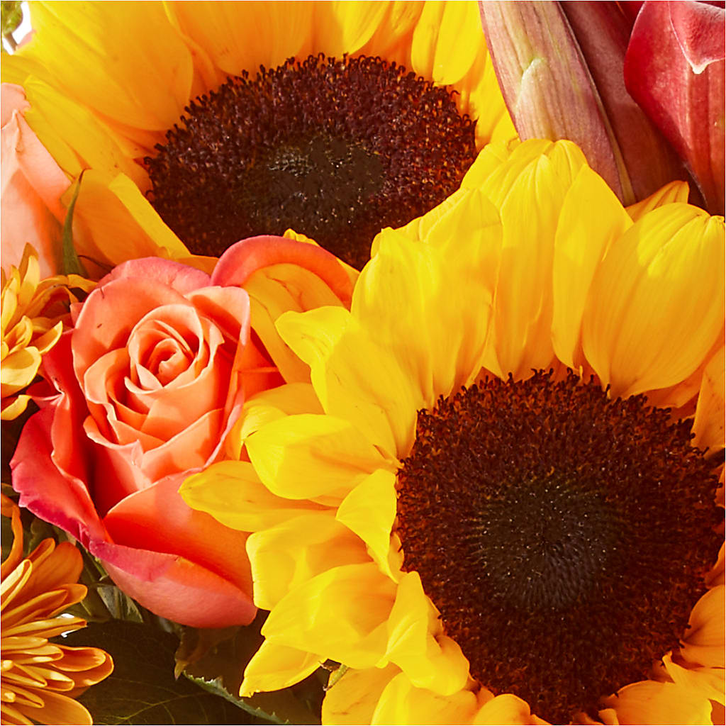 Acorn Lane Bouquet –  City Market, Grand Junction CO