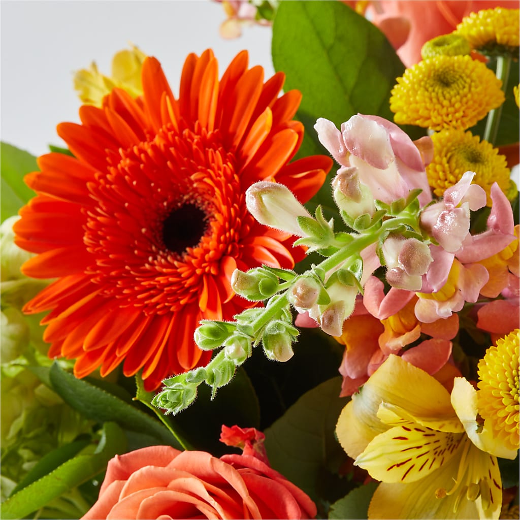 Autumn Sunshine Bouquet –  City Market, Grand Junction CO