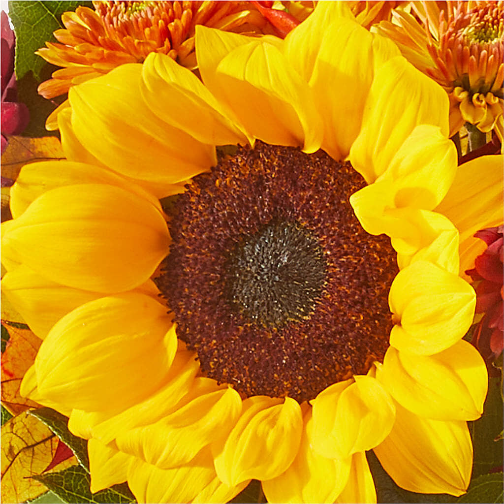 Sunny Side Bouquet –  City Market, Grand Junction CO