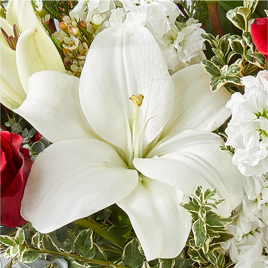Twinkle Lights Bouquet –  City Market, Grand Junction CO