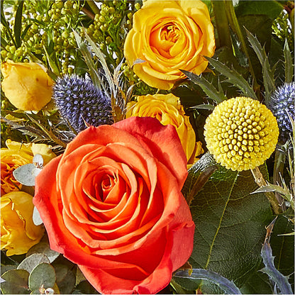 Disco Bouquet –  City Market, Grand Junction CO
