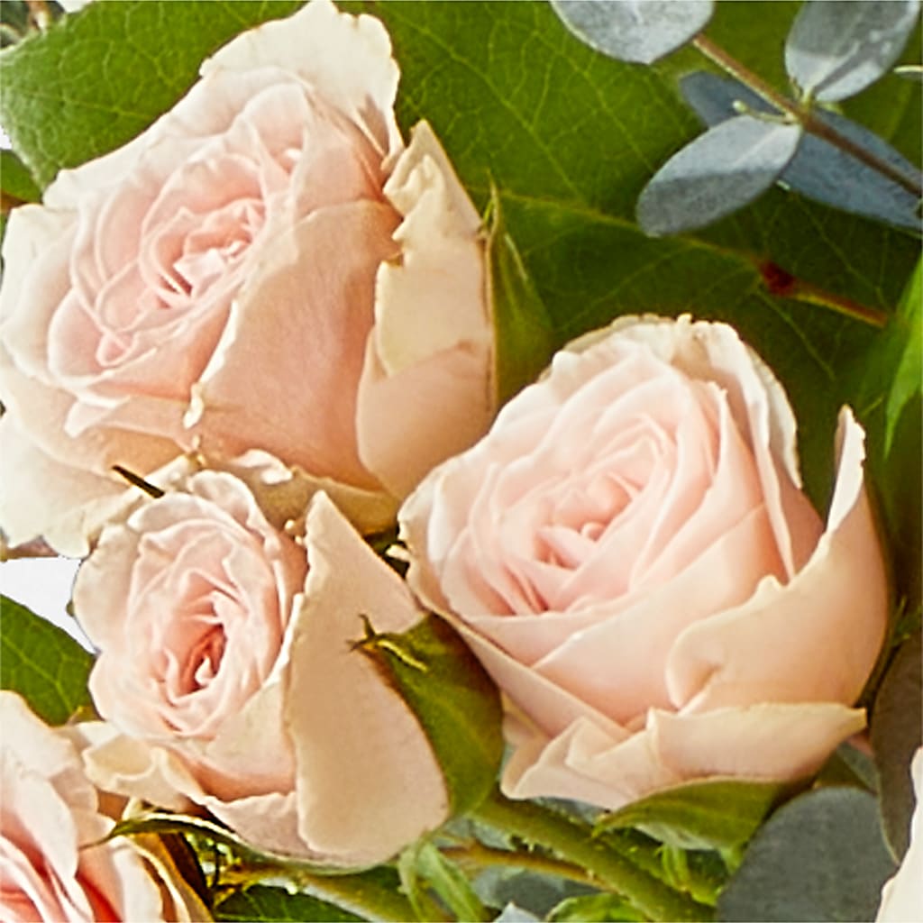 Inspired Bouquet –  City Market, Grand Junction CO